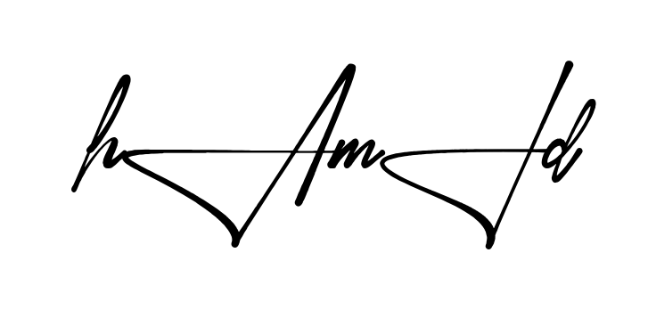 Stylish Hamid signature design