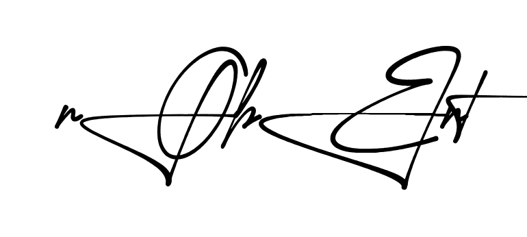 Stylish Robert signature design