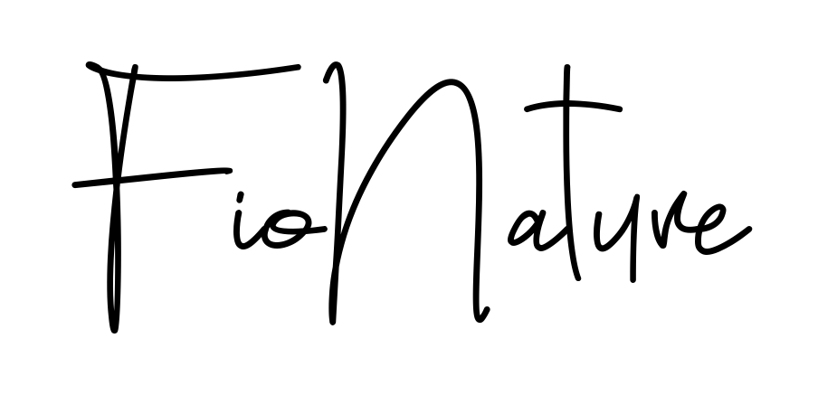Fiona Signature beautiful name signature style in English