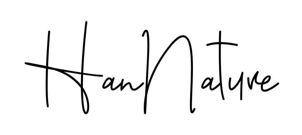 Hannan Signature beautiful name signature style in English