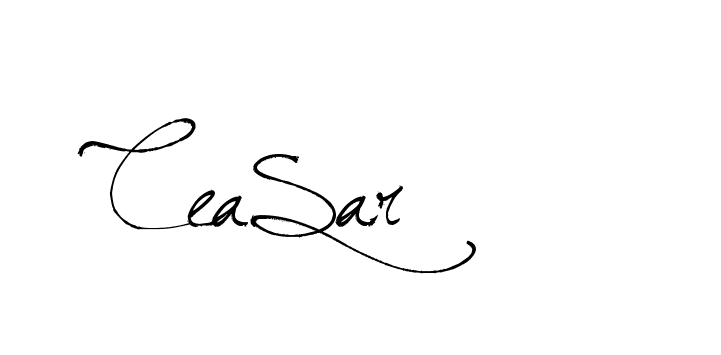 The best way (Arthemis-PKY27) to make a short signature is to pick only two or three words in your name. The name Ceard include a total of six letters. For converting this name. Ceard signature style 2 images and pictures png