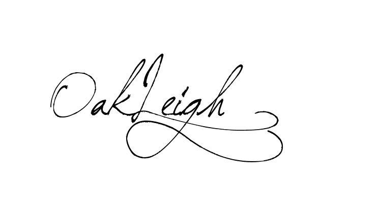 The best way (Arthemis-PKY27) to make a short signature is to pick only two or three words in your name. The name Ceard include a total of six letters. For converting this name. Ceard signature style 2 images and pictures png