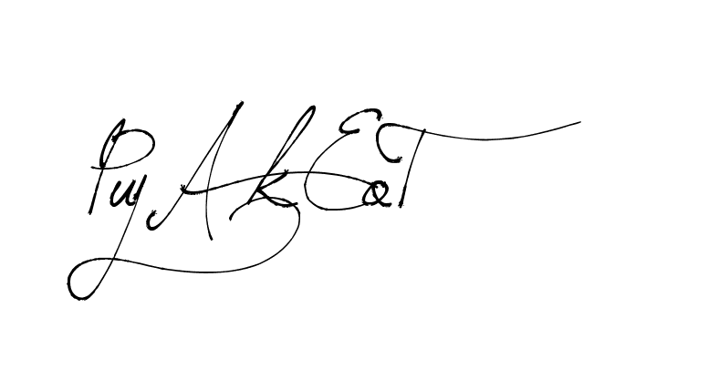 The best way (Arthemis-PKY27) to make a short signature is to pick only two or three words in your name. The name Ceard include a total of six letters. For converting this name. Ceard signature style 2 images and pictures png