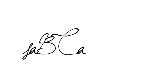 The best way (Arthemis-PKY27) to make a short signature is to pick only two or three words in your name. The name Ceard include a total of six letters. For converting this name. Ceard signature style 2 images and pictures png