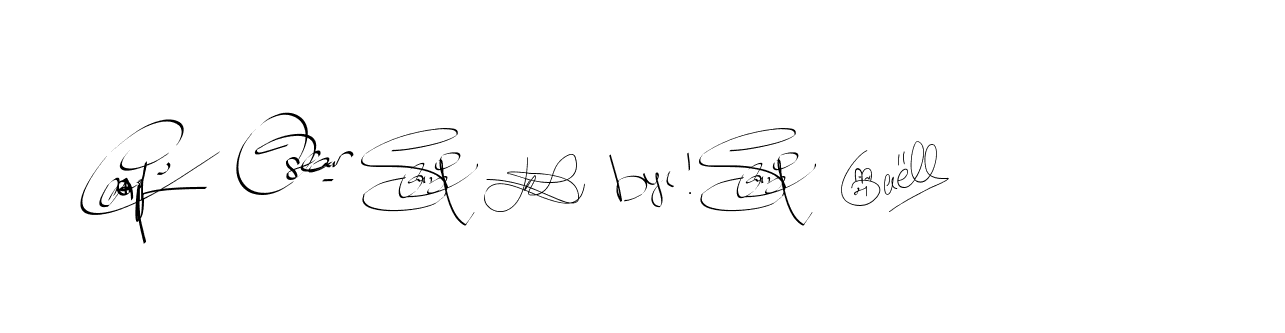 The best way (Bearetta-2O07w) to make a short signature is to pick only two or three words in your name. The name Ceard include a total of six letters. For converting this name. Ceard signature style 2 images and pictures png