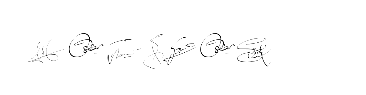 The best way (Bearetta-2O07w) to make a short signature is to pick only two or three words in your name. The name Ceard include a total of six letters. For converting this name. Ceard signature style 2 images and pictures png