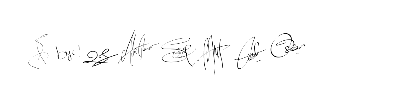 The best way (Bearetta-2O07w) to make a short signature is to pick only two or three words in your name. The name Ceard include a total of six letters. For converting this name. Ceard signature style 2 images and pictures png