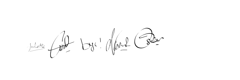 The best way (Bearetta-2O07w) to make a short signature is to pick only two or three words in your name. The name Ceard include a total of six letters. For converting this name. Ceard signature style 2 images and pictures png