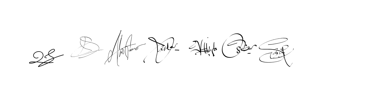 The best way (Bearetta-2O07w) to make a short signature is to pick only two or three words in your name. The name Ceard include a total of six letters. For converting this name. Ceard signature style 2 images and pictures png