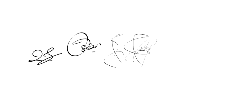 The best way (Bearetta-2O07w) to make a short signature is to pick only two or three words in your name. The name Ceard include a total of six letters. For converting this name. Ceard signature style 2 images and pictures png