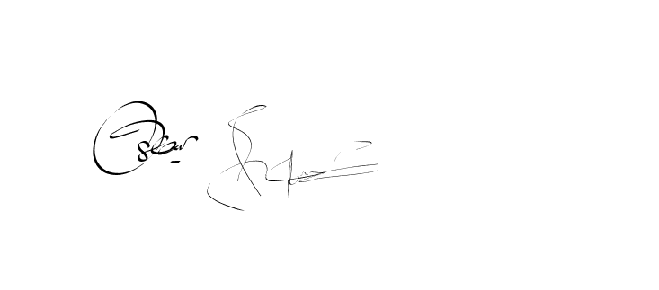 The best way (Bearetta-2O07w) to make a short signature is to pick only two or three words in your name. The name Ceard include a total of six letters. For converting this name. Ceard signature style 2 images and pictures png