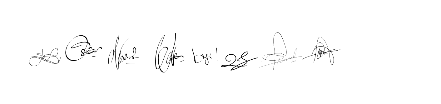 The best way (Bearetta-2O07w) to make a short signature is to pick only two or three words in your name. The name Ceard include a total of six letters. For converting this name. Ceard signature style 2 images and pictures png