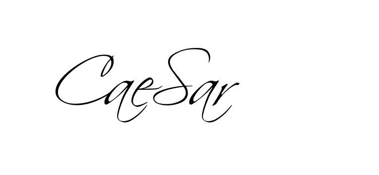 The best way (BelgiumCatherine-rg3Ap) to make a short signature is to pick only two or three words in your name. The name Ceard include a total of six letters. For converting this name. Ceard signature style 2 images and pictures png