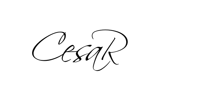 The best way (BelgiumCatherine-rg3Ap) to make a short signature is to pick only two or three words in your name. The name Ceard include a total of six letters. For converting this name. Ceard signature style 2 images and pictures png