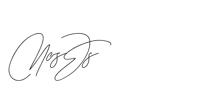 The best way (BjornssonSignatureRegular-BWmwB) to make a short signature is to pick only two or three words in your name. The name Ceard include a total of six letters. For converting this name. Ceard signature style 2 images and pictures png