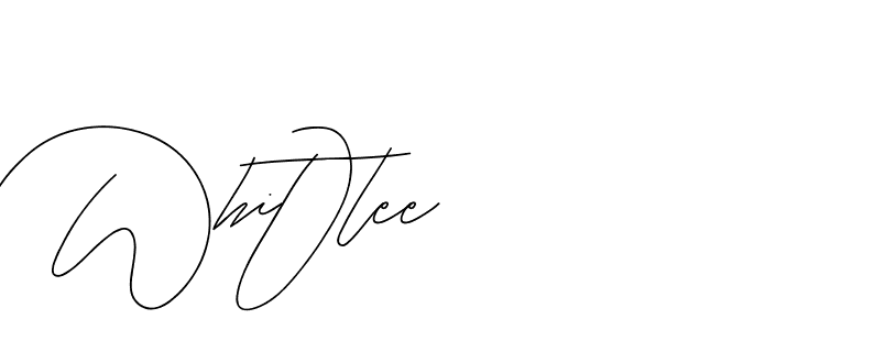 The best way (BjornssonSignatureRegular-BWmwB) to make a short signature is to pick only two or three words in your name. The name Ceard include a total of six letters. For converting this name. Ceard signature style 2 images and pictures png