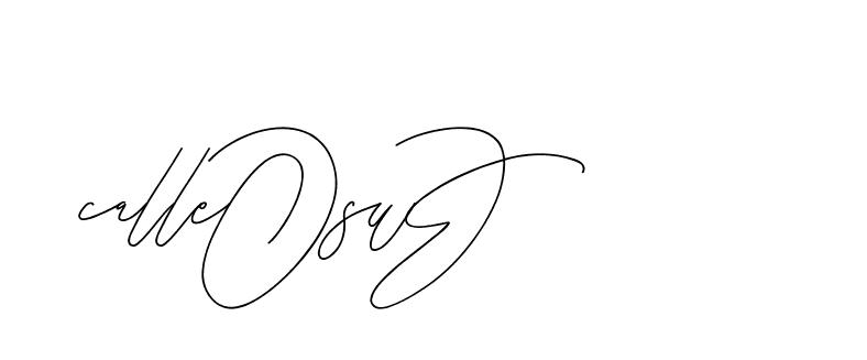 The best way (BjornssonSignatureRegular-BWmwB) to make a short signature is to pick only two or three words in your name. The name Ceard include a total of six letters. For converting this name. Ceard signature style 2 images and pictures png