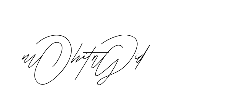 The best way (BjornssonSignatureRegular-BWmwB) to make a short signature is to pick only two or three words in your name. The name Ceard include a total of six letters. For converting this name. Ceard signature style 2 images and pictures png