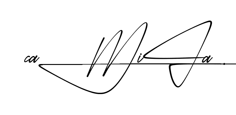 Modern Camila signature style