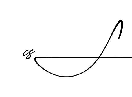 Cs S beautiful handwritten signature design