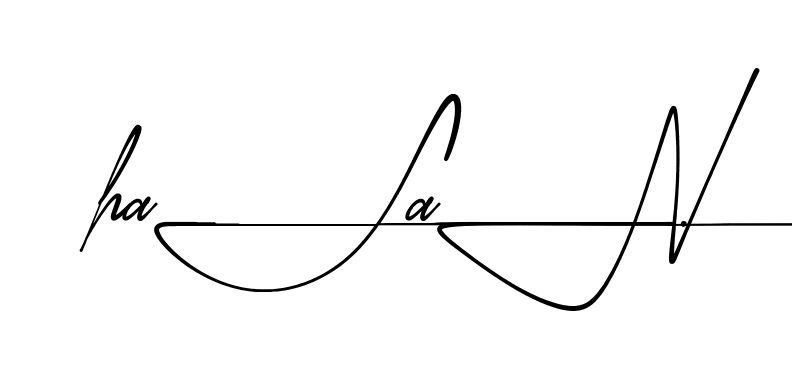 Modern Hasan signature style