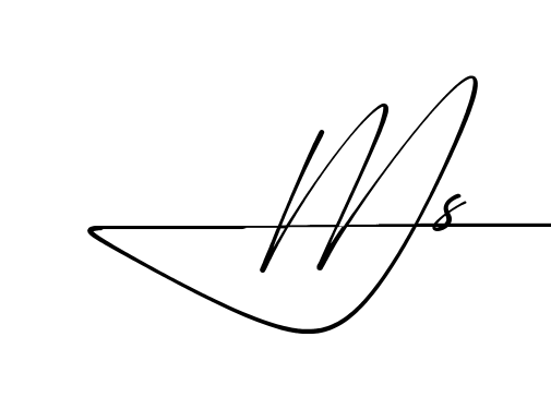 M S beautiful handwritten signature design