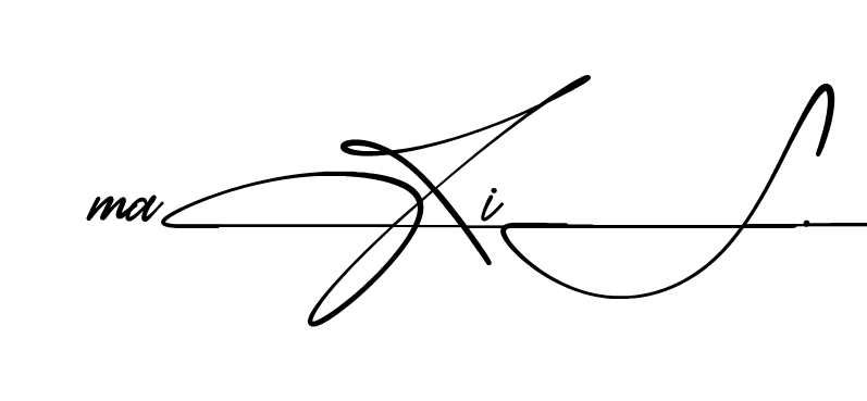 Maxi S beautiful handwritten signature design