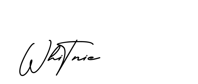 The best way (BrittanySignature-MaZx) to make a short signature is to pick only two or three words in your name. The name Ceard include a total of six letters. For converting this name. Ceard signature style 2 images and pictures png