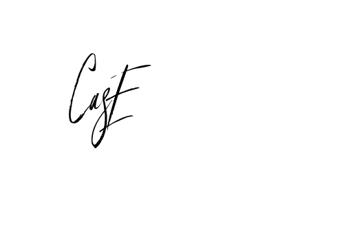 The best way (Buffalosignature-x3xDK) to make a short signature is to pick only two or three words in your name. The name Ceard include a total of six letters. For converting this name. Ceard signature style 2 images and pictures png