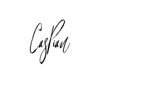 The best way (Buffalosignature-x3xDK) to make a short signature is to pick only two or three words in your name. The name Ceard include a total of six letters. For converting this name. Ceard signature style 2 images and pictures png