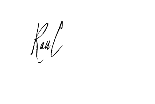 The best way (Buffalosignature-x3xDK) to make a short signature is to pick only two or three words in your name. The name Ceard include a total of six letters. For converting this name. Ceard signature style 2 images and pictures png