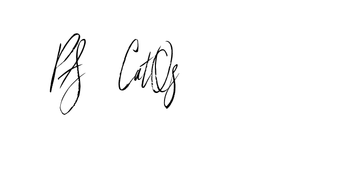 The best way (Buffalosignature-x3xDK) to make a short signature is to pick only two or three words in your name. The name Ceard include a total of six letters. For converting this name. Ceard signature style 2 images and pictures png