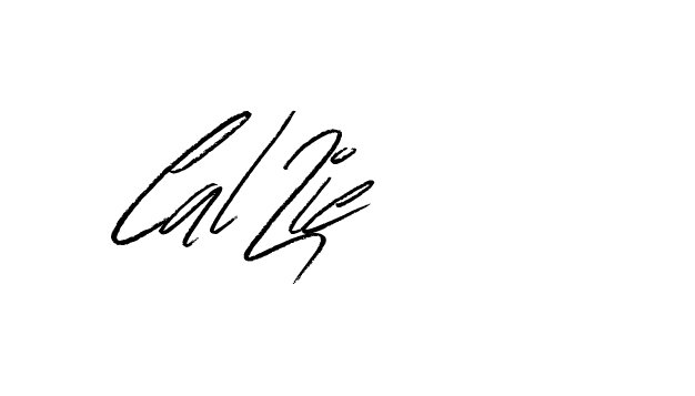 The best way (Bulgatti-xgMV) to make a short signature is to pick only two or three words in your name. The name Ceard include a total of six letters. For converting this name. Ceard signature style 2 images and pictures png