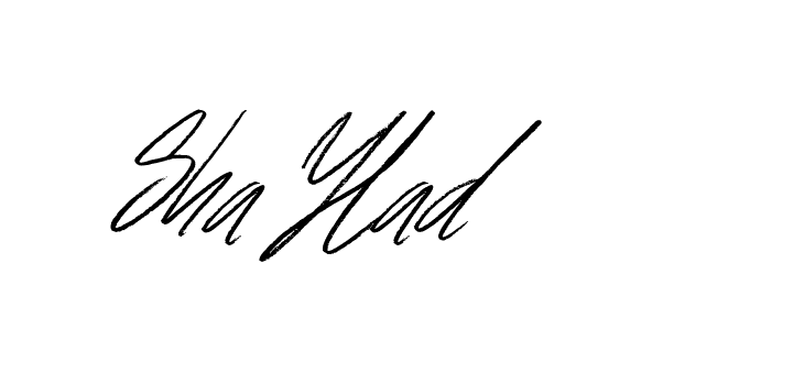 The best way (Bulgatti-xgMV) to make a short signature is to pick only two or three words in your name. The name Ceard include a total of six letters. For converting this name. Ceard signature style 2 images and pictures png