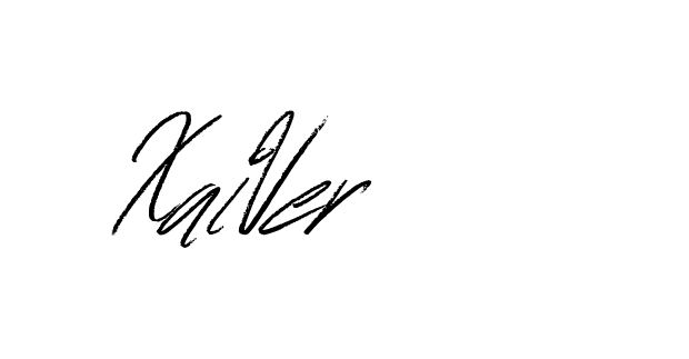 The best way (Bulgatti-xgMV) to make a short signature is to pick only two or three words in your name. The name Ceard include a total of six letters. For converting this name. Ceard signature style 2 images and pictures png