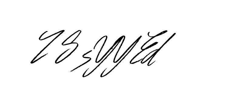 The best way (Bulgatti-xgMV) to make a short signature is to pick only two or three words in your name. The name Ceard include a total of six letters. For converting this name. Ceard signature style 2 images and pictures png