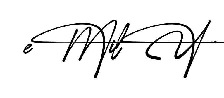Creative Emily signature idea