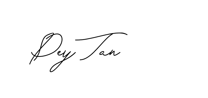 The best way (CatthyWellingten-x38p8) to make a short signature is to pick only two or three words in your name. The name Ceard include a total of six letters. For converting this name. Ceard signature style 2 images and pictures png