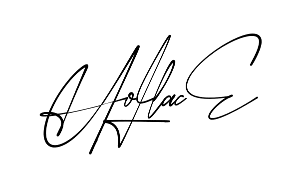 Hollace modern signature style in English