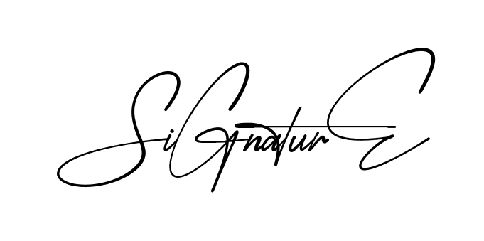 Signature Signature modern signature style in English