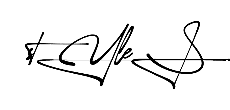Style S handwritten-looking signature idea