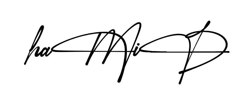 Best Hamid signature style